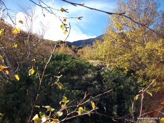 Vallone monte Zappinazzo